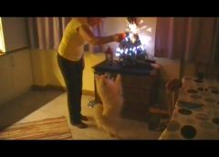 Dog is dancing while sparkler is on fire for Christmas – funny