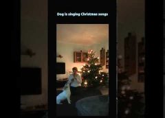 Dog is singing Christmas songs accompaning the flute – funny